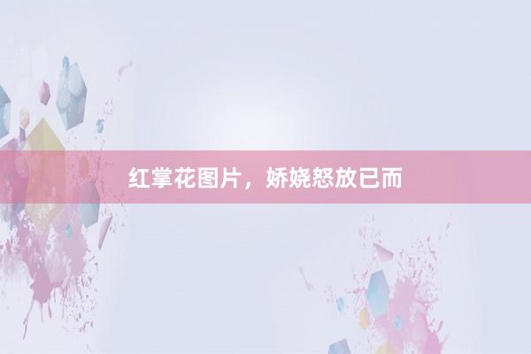 红掌花图片，娇娆怒放已而